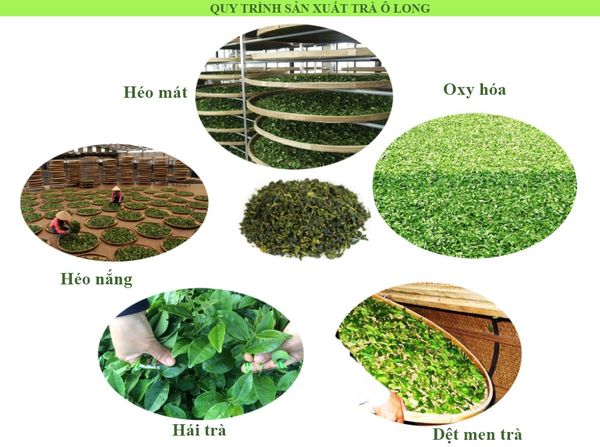 Hình ảnh bài viết
