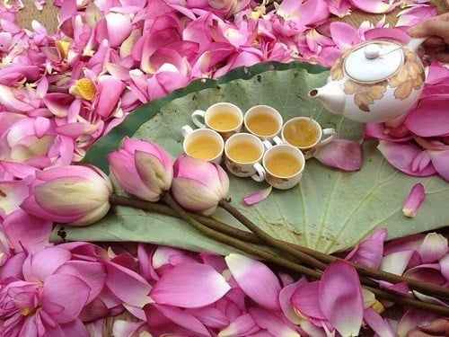 Hình ảnh bài viết
