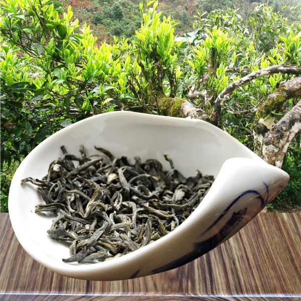 Hình ảnh bài viết
