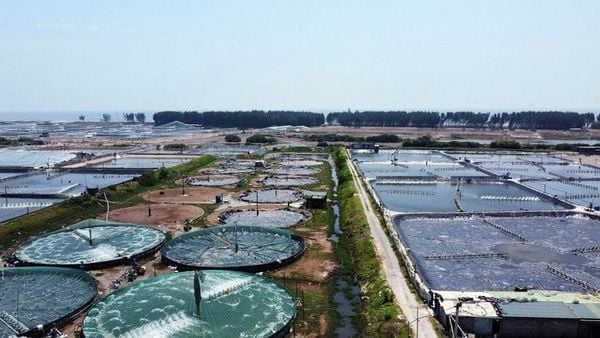 Mô hình ao nuôi trồng thủy sản thâm canh sử dụng hệ thống sục khí quạt nước