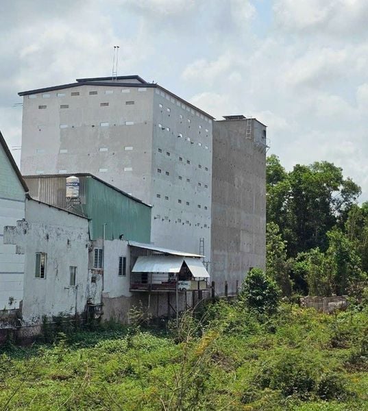 Hình ảnh bài viết