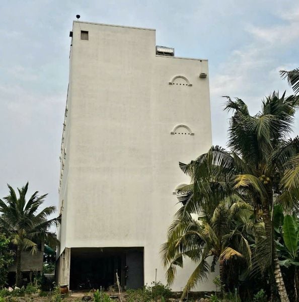 Hình ảnh bài viết