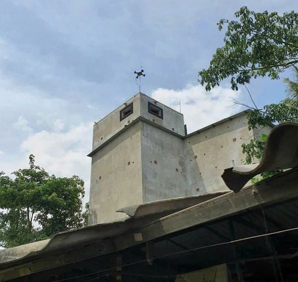 Hình ảnh bài viết