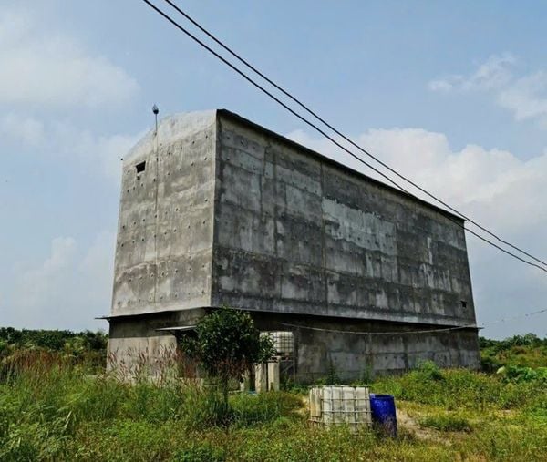 Hình ảnh bài viết