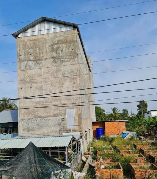 Hình ảnh bài viết