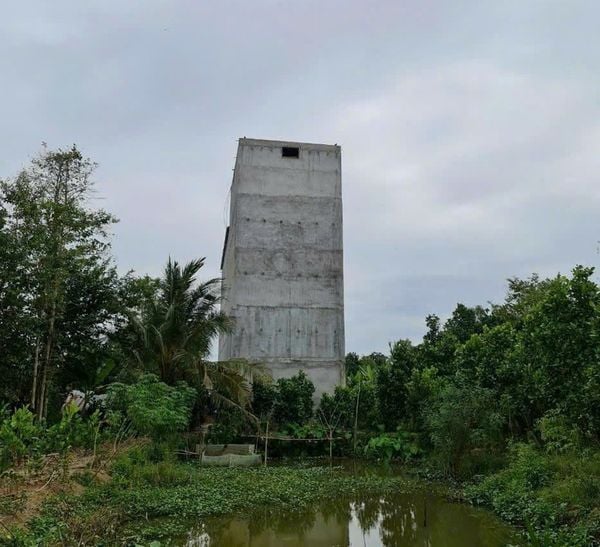 Hình ảnh bài viết