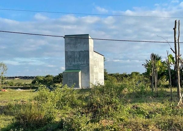 Hình ảnh bài viết