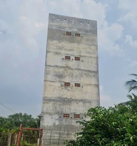 Hình ảnh bài viết