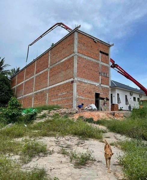 Hình ảnh bài viết