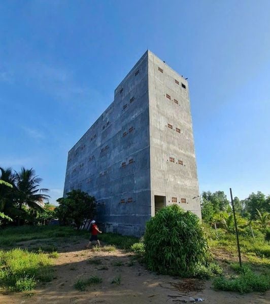 Hình ảnh bài viết