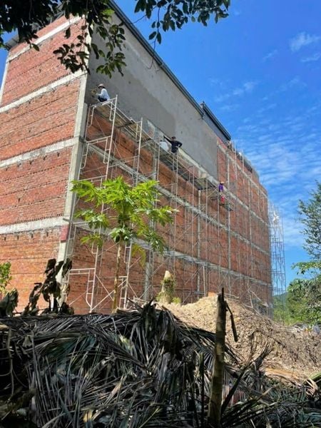 Hình ảnh bài viết