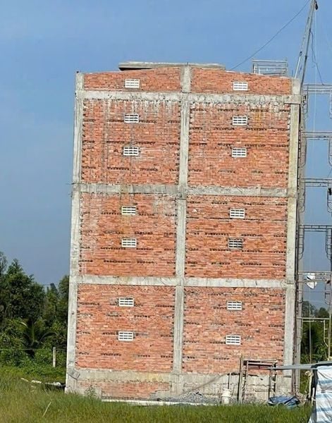 Hình ảnh bài viết