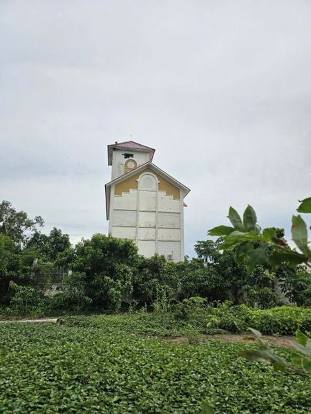 Hình ảnh bài viết