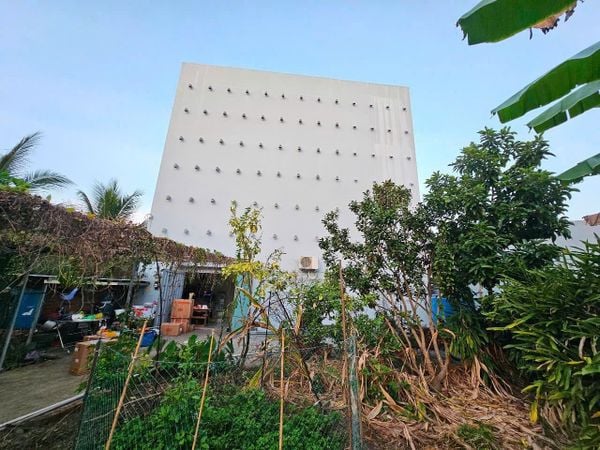 Hình ảnh bài viết