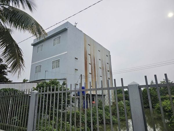 Hình ảnh bài viết