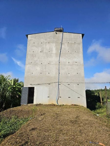 Hình ảnh bài viết