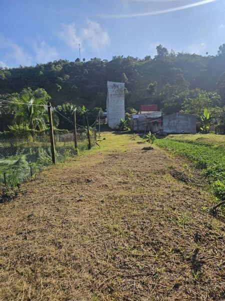 Hình ảnh bài viết