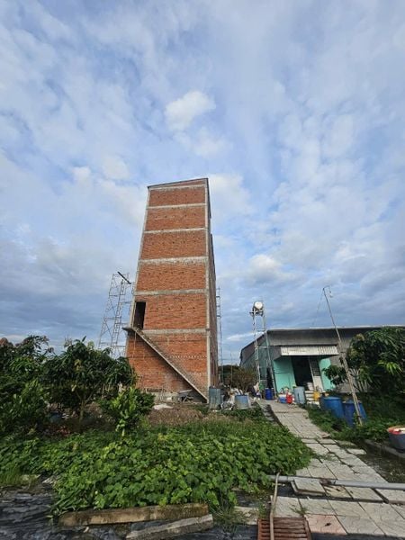 Hình ảnh bài viết