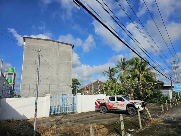 Hình ảnh bài viết