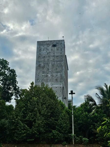 Hình ảnh bài viết