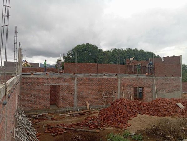 Hình ảnh bài viết