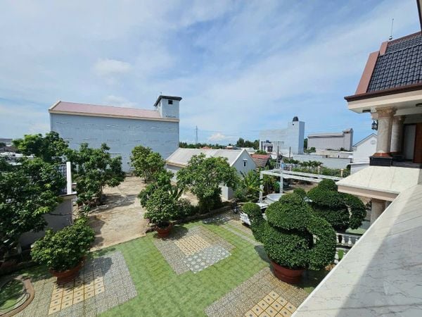 Hình ảnh bài viết