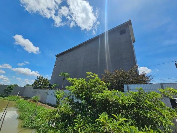 Hình ảnh bài viết