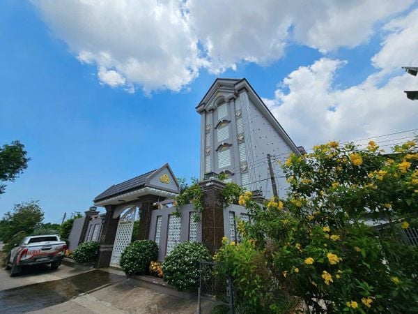 Hình ảnh bài viết