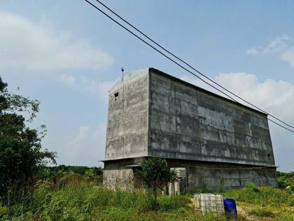 Hình ảnh bài viết