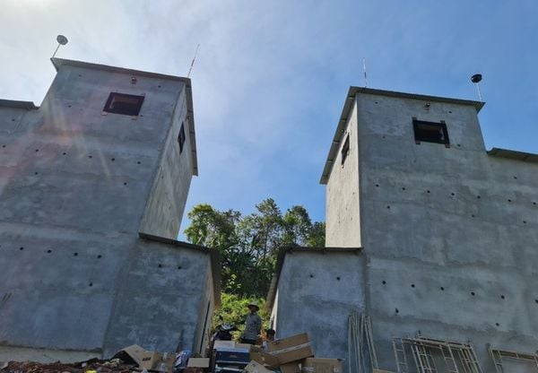 Hình ảnh bài viết