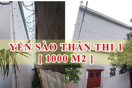 Hình ảnh bài viết