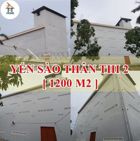 Hình ảnh bài viết