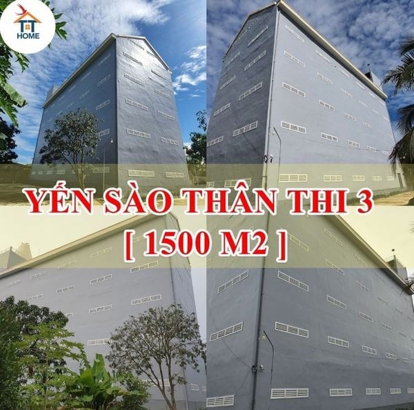 Hình ảnh bài viết