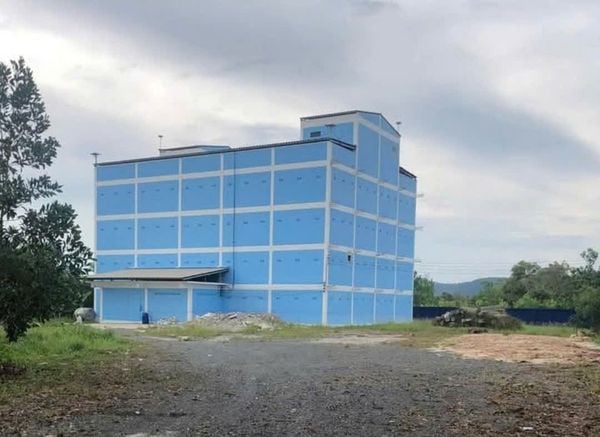 Hình ảnh bài viết