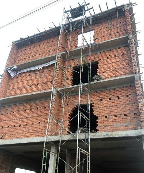 Hình ảnh bài viết