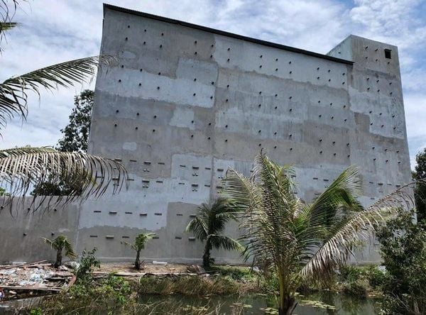 Hình ảnh bài viết