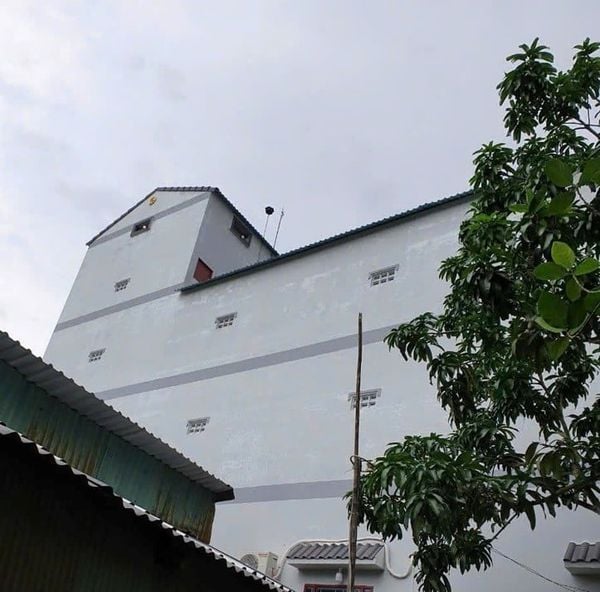 Hình ảnh bài viết