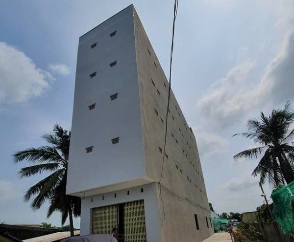 Hình ảnh bài viết