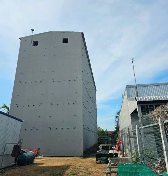 Hình ảnh bài viết