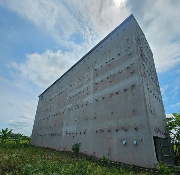 Hình ảnh bài viết