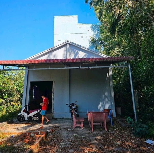 Hình ảnh bài viết