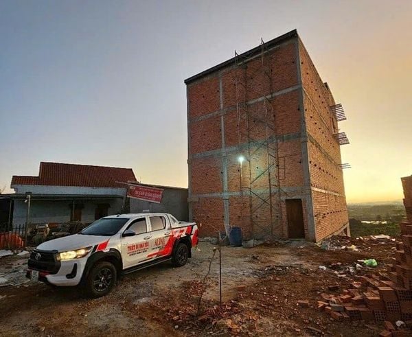 Hình ảnh bài viết