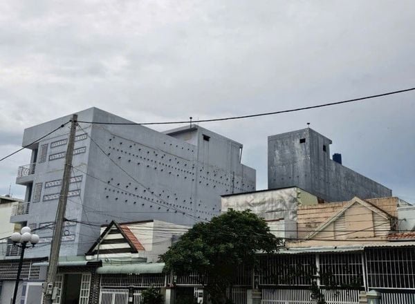 Hình ảnh bài viết