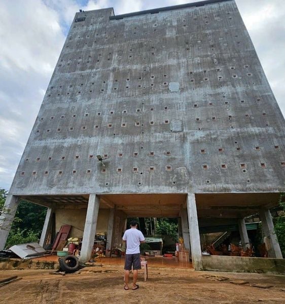 Hình ảnh bài viết