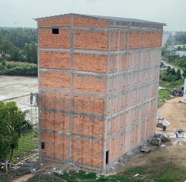 Hình ảnh bài viết