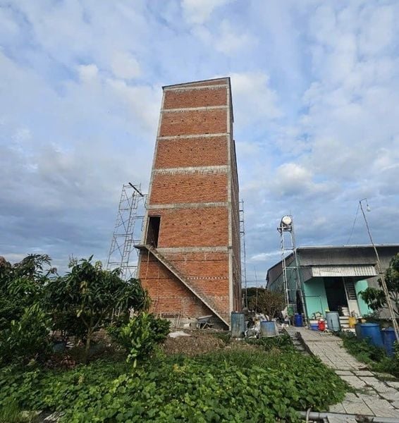 Hình ảnh bài viết