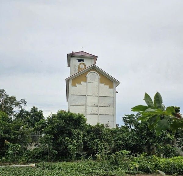 Hình ảnh bài viết