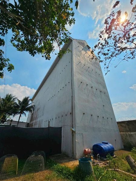 Hình ảnh bài viết