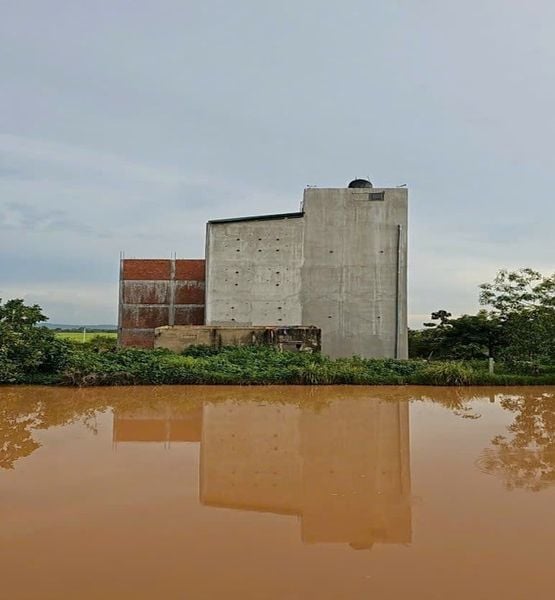 Hình ảnh bài viết