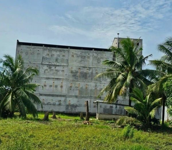 Hình ảnh bài viết